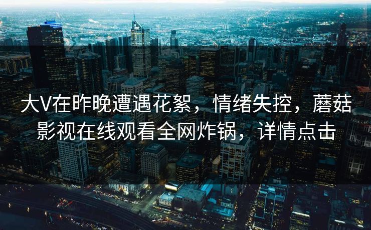 大V在昨晚遭遇花絮，情绪失控，蘑菇影视在线观看全网炸锅，详情点击