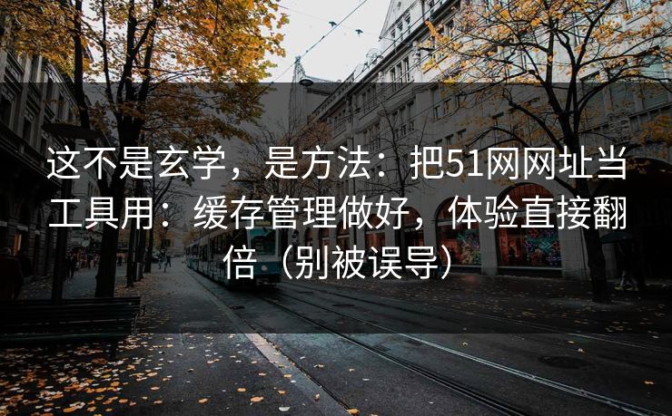 这不是玄学，是方法：把51网网址当工具用：缓存管理做好，体验直接翻倍（别被误导）