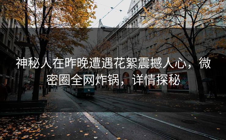 神秘人在昨晚遭遇花絮震撼人心，微密圈全网炸锅，详情探秘