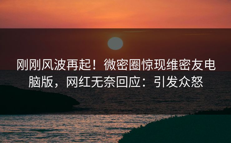刚刚风波再起！微密圈惊现维密友电脑版，网红无奈回应：引发众怒