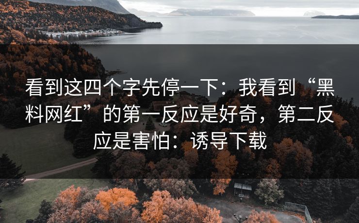 看到这四个字先停一下：我看到“黑料网红”的第一反应是好奇，第二反应是害怕：诱导下载